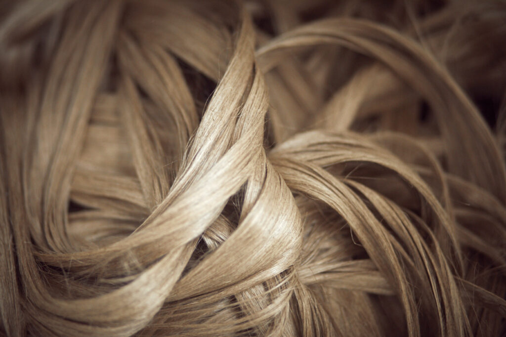 Different stages of transformation of fibre into flax yarn