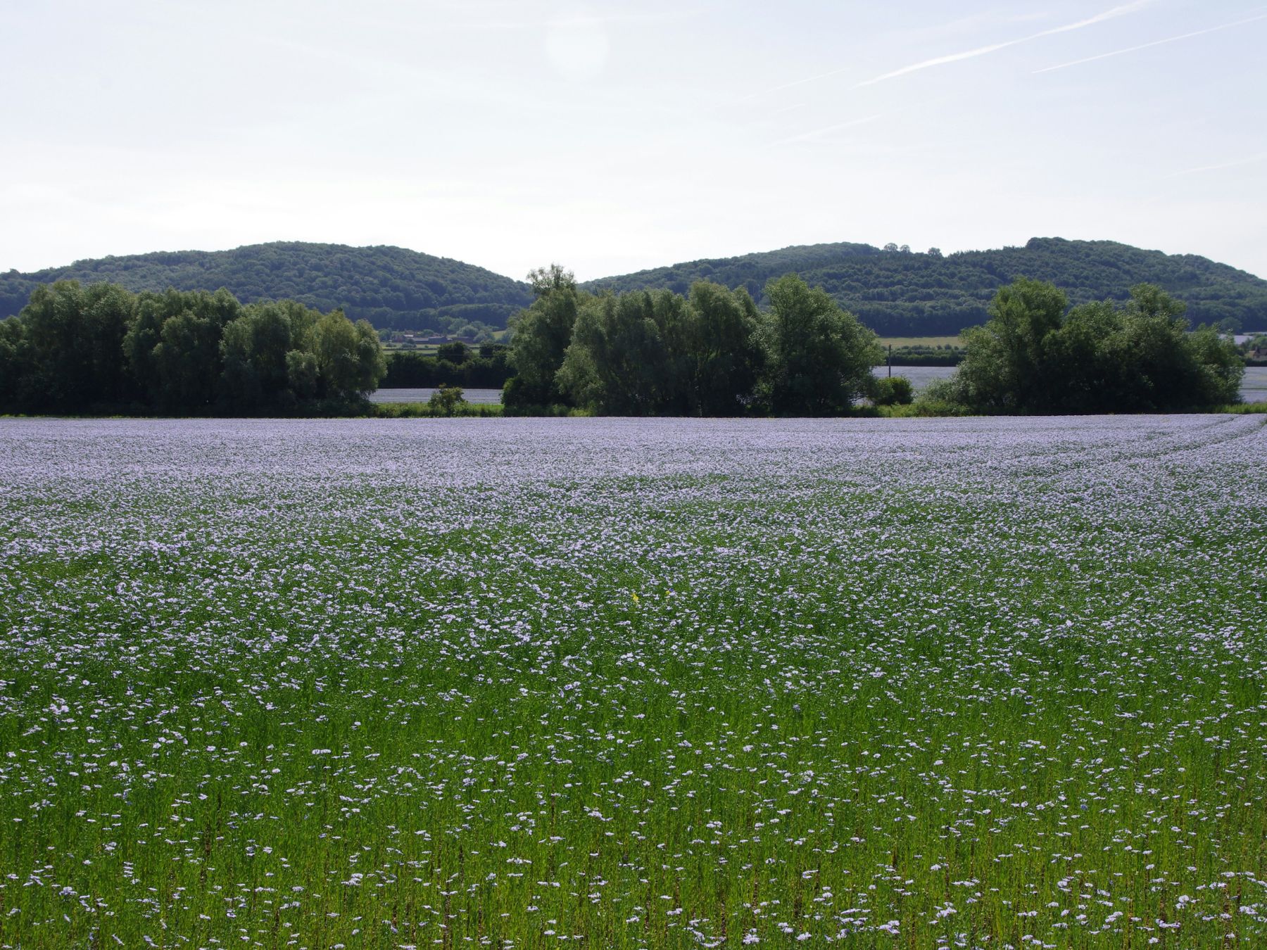 SAFILIN ecological textile material