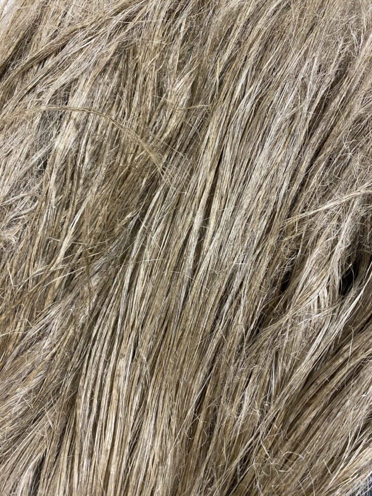 Safilin flax fiber