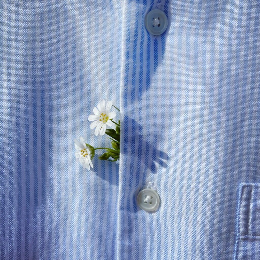 le lin - une fibre ecoresponsable pour une mode durable (1)