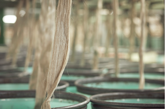 peignage dans la production du fil de lin safilin